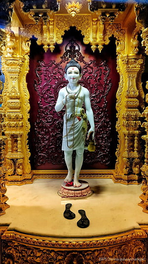 Sri Nikunjbhanji Varni Statue in Golden Temple Shrine HD phone wallpaper