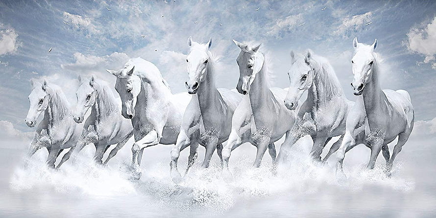 Seven White Horses Galloping Through Misty Water Under a Cloudy Sky HD wallpaper