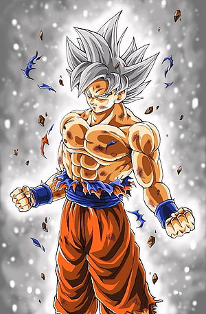 Goku Ultra Instinct Sign Anime Wallpaper - Dragon Ball Super Saiyan Character Art HD phone wallpaper