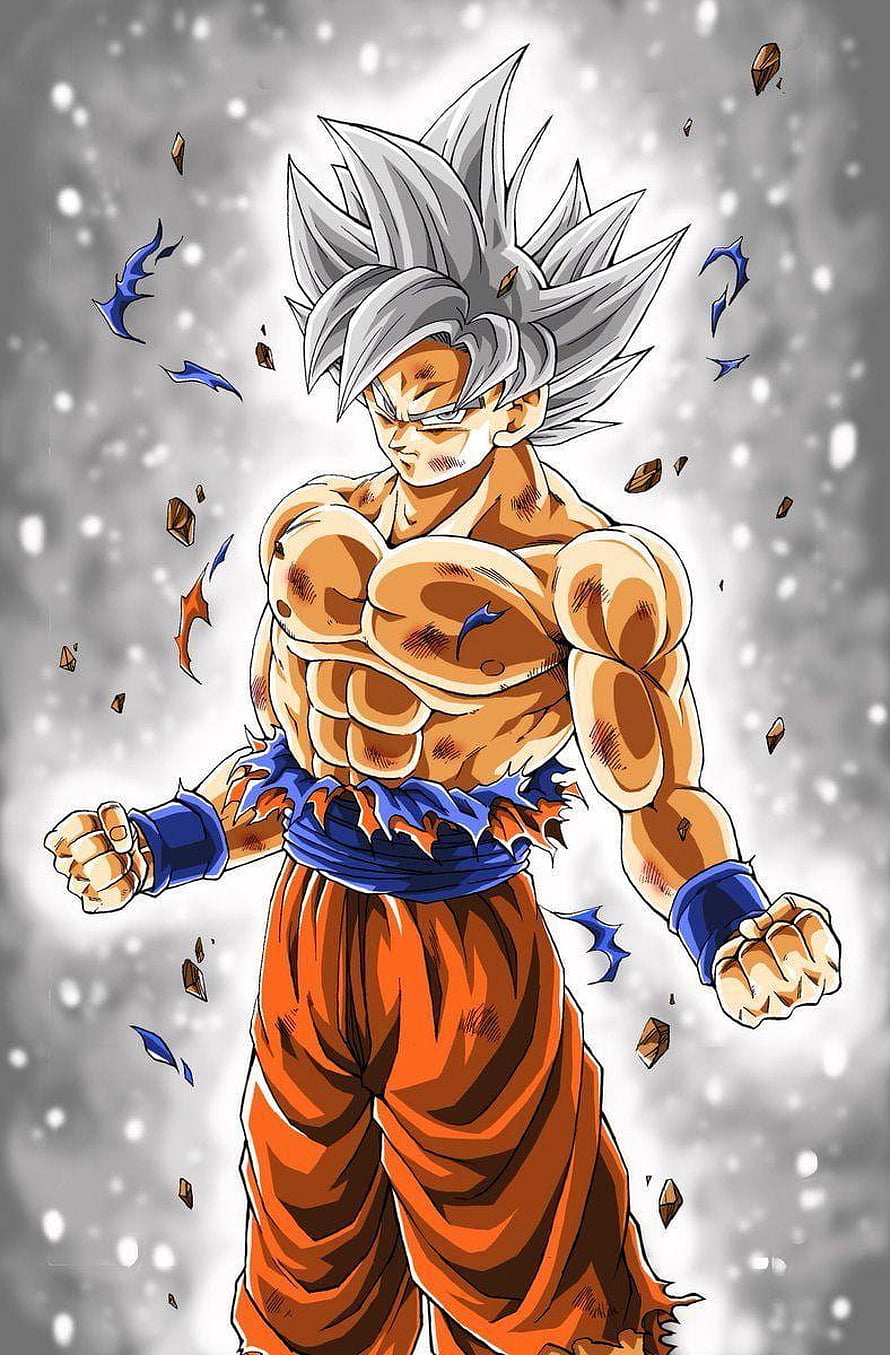 Goku Ultra Instinct Sign Anime Wallpaper - Dragon Ball Super Saiyan Character Art HD phone wallpaper