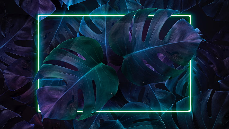 Neon Green Frame Over Dark Monstera Leaves with Cyan and Purple Tones HD wallpaper