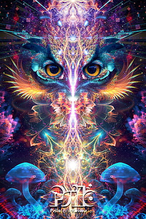Psychedelic Owl Face with Glowing Mushrooms and Fractal Sacred Geometry in Vibrant Cosmic Colors HD phone wallpaper