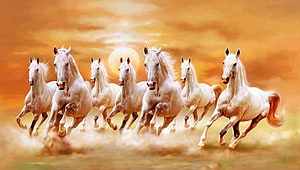 Seven White Horses Galloping Together Across a Golden Sunset Landscape HD wallpaper