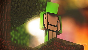 Minecraft Steve Character Standing on Blocky Terrain with Green Hat HD wallpaper