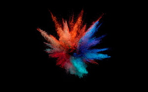 Vibrant Color Powder Explosion Burst on Black Background HD wallpaper