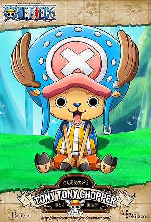 Tony Tony Chopper from One Piece Sitting on Grass in Blue Reindeer Hat HD phone wallpaper