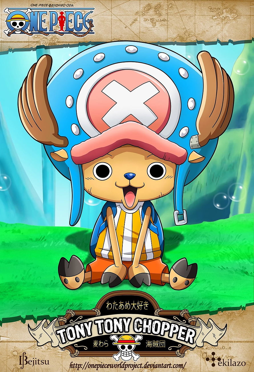 Tony Tony Chopper from One Piece Sitting on Grass in Blue Reindeer Hat HD phone wallpaper