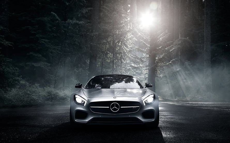 Silver Mercedes-AMG GT Front View in Misty Forest with Sunbeams HD wallpaper