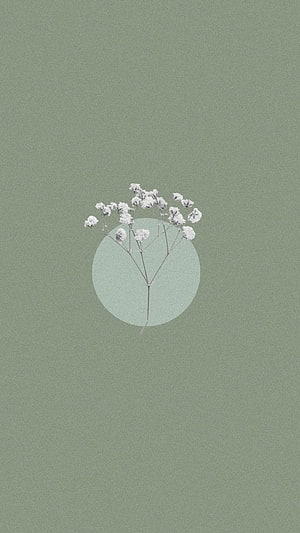 Sage Green Minimalist Floral Wallpaper with Delicate White Baby's Breath Blooms HD phone wallpaper