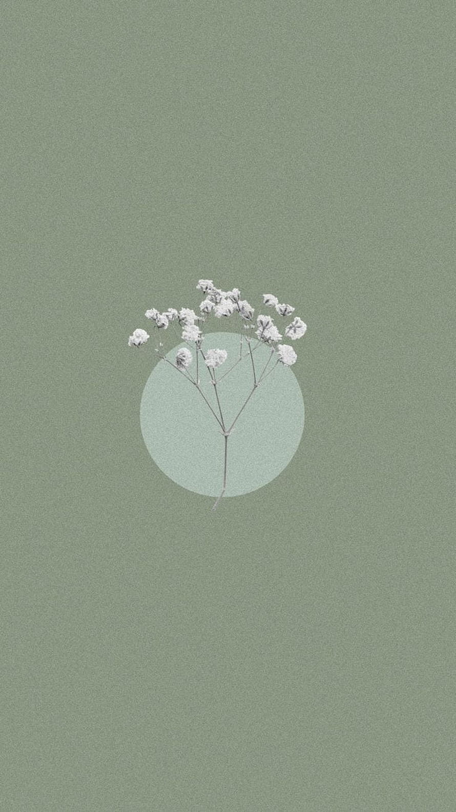 Sage Green Minimalist Floral Wallpaper with Delicate White Baby's Breath Blooms HD phone wallpaper