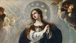 Classical Oil Painting of the Virgin Mary with Star Halo and Cherubs in Baroque Style HD wallpaper