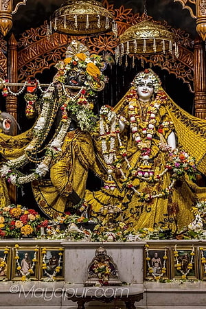 Ornate Krishna and Radha Deities Adorned in Gold and Flowers at Mayapur Temple HD phone wallpaper