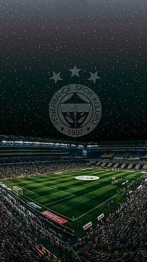 Fenerbahçe Stadium Night Sky Wallpaper HD phone wallpaper