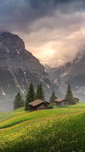 Alpine Meadow with Traditional Chalets and Dramatic Mountain Peaks in Grindelwald HD phone wallpaper