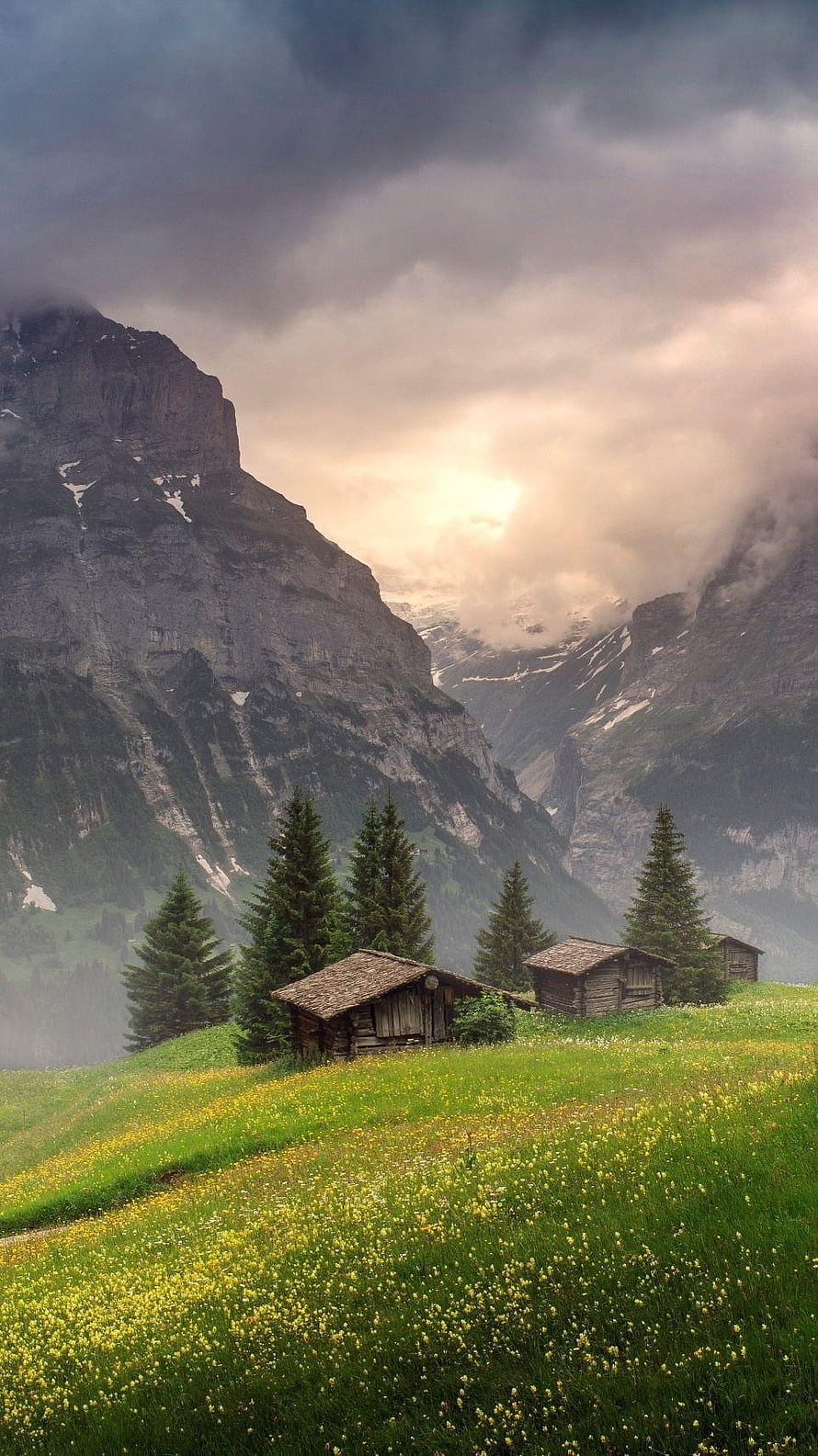 Alpine Meadow with Traditional Chalets and Dramatic Mountain Peaks in Grindelwald HD phone wallpaper