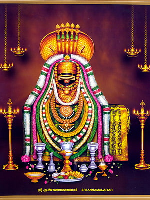 Sri Annamalaiyar deity adorned with garlands and temple oil lamps HD phone wallpaper