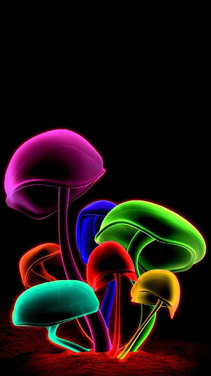 Neon Glowing Mushrooms in Vibrant Colors on Black Background HD phone wallpaper