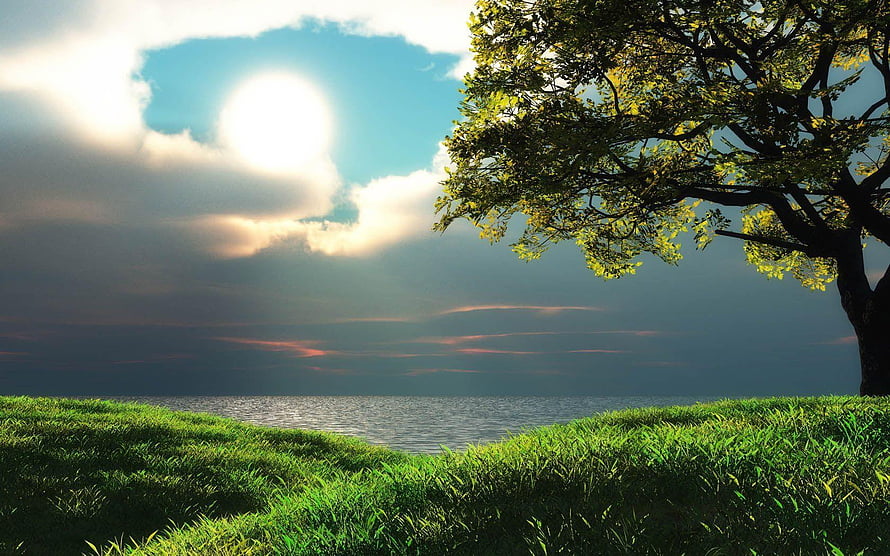 Serene Lake Landscape with Lush Green Grass and Sunlit Tree HD wallpaper