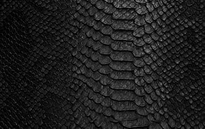 Dark Black Snake Skin Texture Closeup Background HD wallpaper