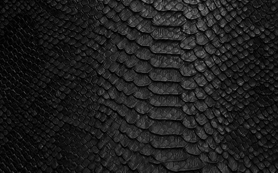 Dark Black Snake Skin Texture Closeup Background HD wallpaper