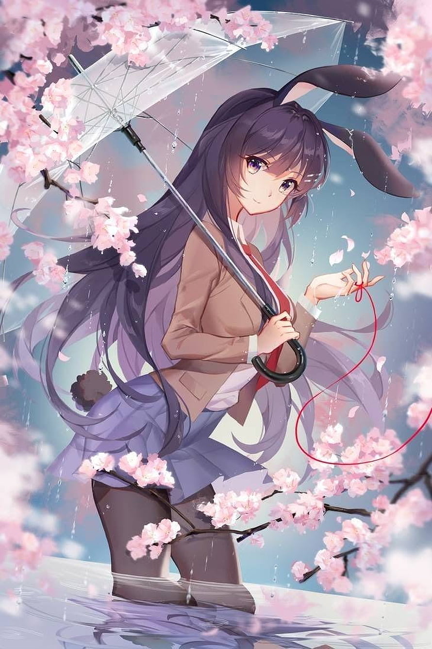 Anime Girl With Rabbit Ears Holding Transparent Umbrella Under Cherry Blossoms HD phone wallpaper