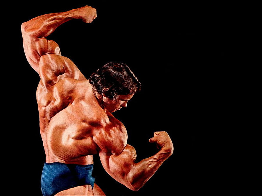 Arnold Schwarzenegger Classic Bodybuilding Pose with Flexed Muscles HD wallpaper