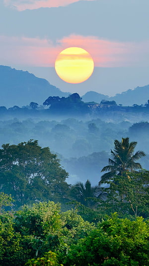 Sunset Over Misty Tropical Mountains With Palm Trees And Lush Green Forest HD phone wallpaper