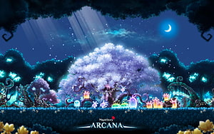 MapleStory Arcana Enchanted Night Forest with Glowing Creatures and Moonlit Sky HD wallpaper