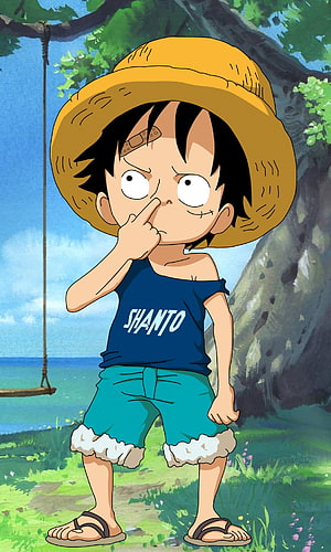 Monkey D. Luffy from One Piece wearing a Shanto shirt and straw hat in a grassy outdoor scene HD phone wallpaper