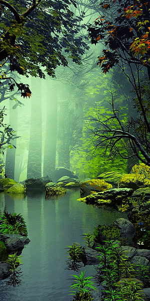 Mystical Green Forest Stream with Mossy Rocks and Misty Atmosphere HD phone wallpaper