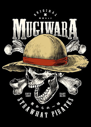 Straw Hat Pirates Jolly Roger Skull and Crossbones One Piece Anime Illustration HD phone wallpaper