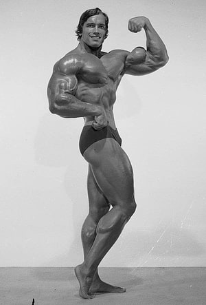 Arnold Schwarzenegger Classic Bodybuilding Pose Vintage Black And White Photo HD phone wallpaper