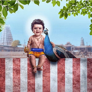 Baby Krishna Sitting With Peacock And Temple Background HD phone wallpaper