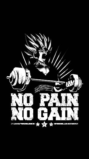 Goku Lifting Weights No Pain No Gain Anime Gym Motivation Wallpaper HD phone wallpaper