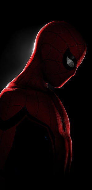 Spider-Man in a Dark Red Suit with Dramatic Rim Lighting Against a Black Background, Spiderman In the Dark [1440X2960] : Amoledbackgrounds, spider man amoled HD phone wallpaper