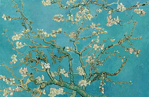 Van Gogh Almond Blossoms Painting with Turquoise Sky and White Flowers HD wallpaper