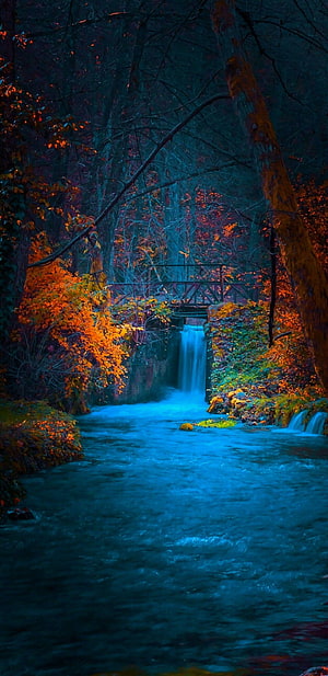 Enchanted Autumn Forest Stream With Glowing Blue Water And Wooden Bridge HD phone wallpaper