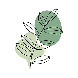 Minimalist Botanical Line Art with Abstract Green Shapes and Leafy Branches HD phone wallpaper