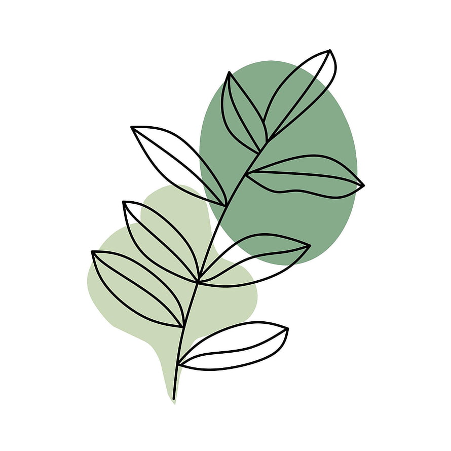 Minimalist Botanical Line Art with Abstract Green Shapes and Leafy Branches HD phone wallpaper