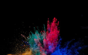 Vibrant Multicolored Powder Explosion Bursting Against a Pitch Black Background HD wallpaper