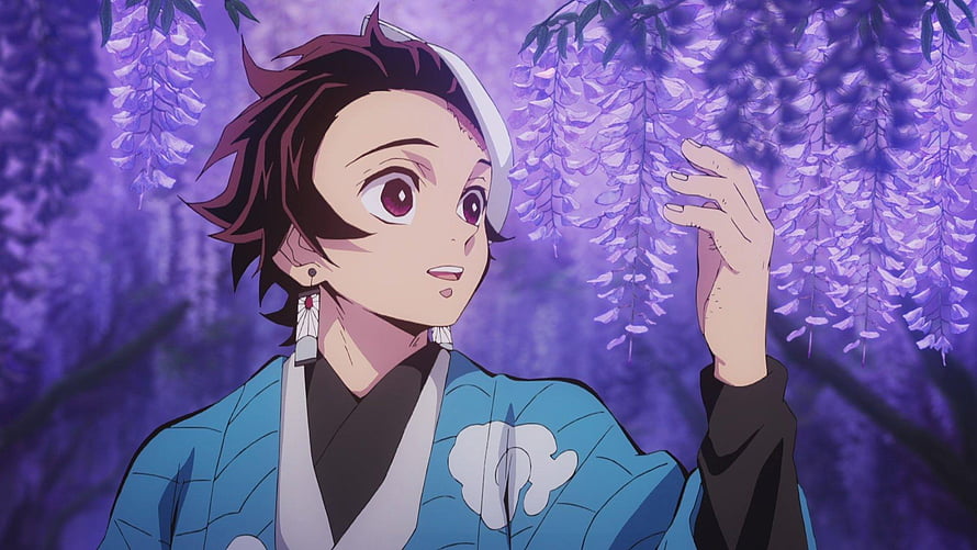 Tanjiro Kamado from Demon Slayer Anime Touching Purple Wisteria Flowers in Blue Kimono HD wallpaper