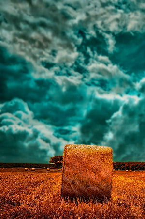 Dramatic Teal Sky Over Golden Hay Bales in a Rural Harvest Field HD phone wallpaper