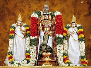 Decorated Hindu Deities with Flower Garlands and Golden Jewelry HD wallpaper