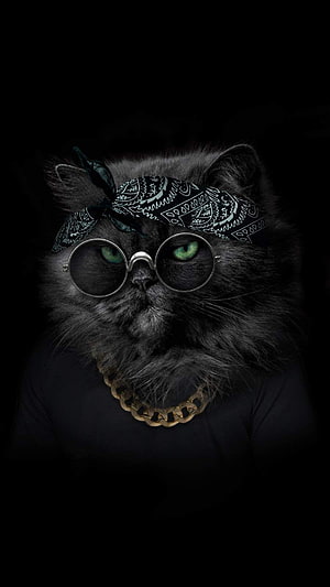 Cool Persian Cat Wearing Round Glasses, Bandana, and Gold Chain Necklace HD phone wallpaper