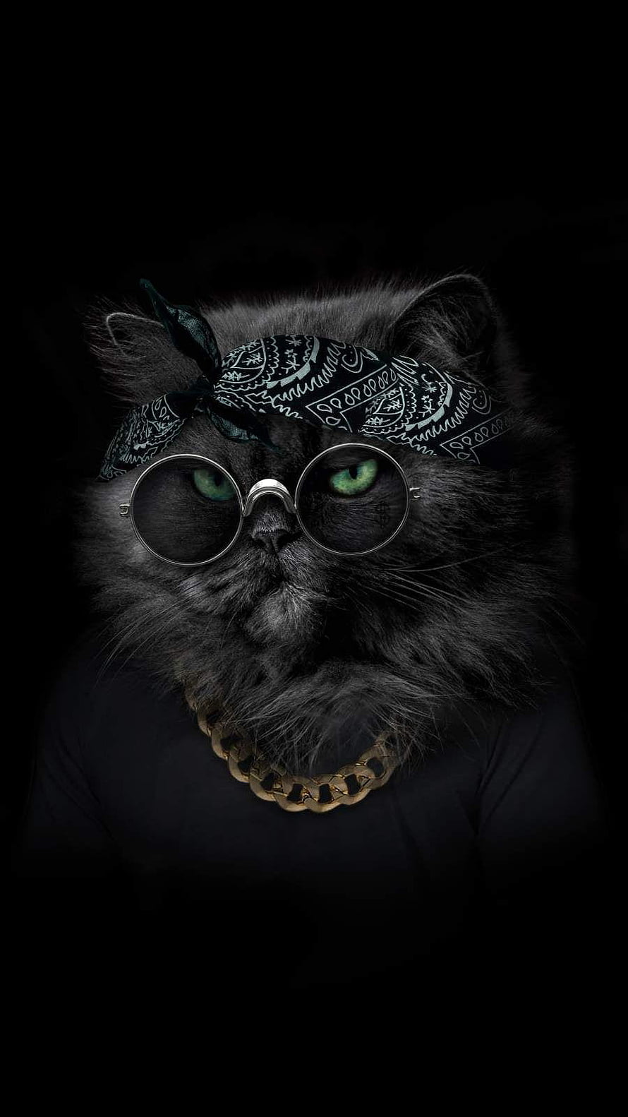 Cool Persian Cat Wearing Round Glasses, Bandana, and Gold Chain Necklace HD phone wallpaper