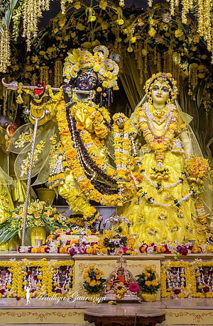 Radha Krishna Deities Adorned in Yellow Flowers and Silk Garments HD phone wallpaper