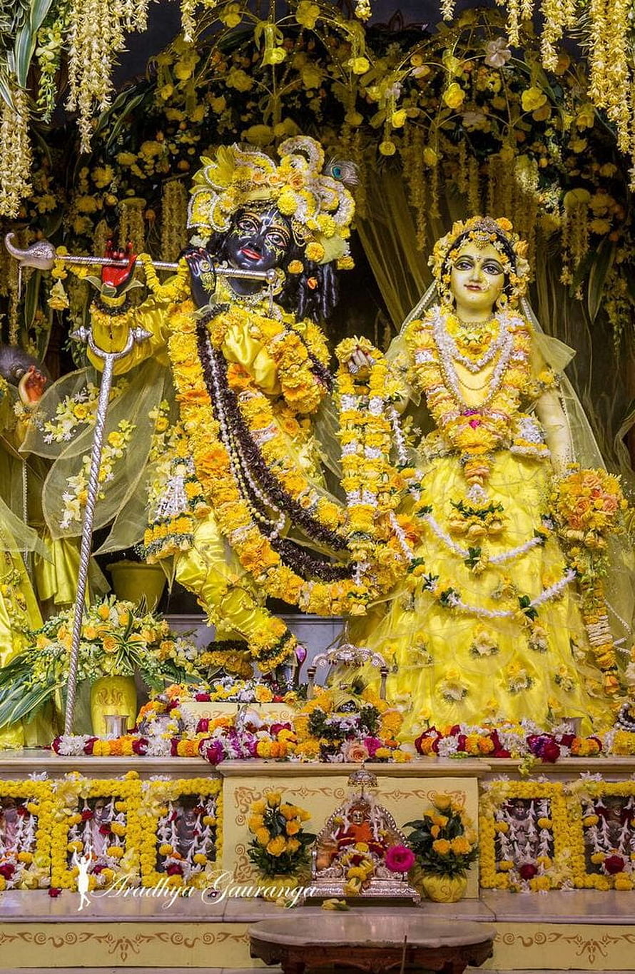 Radha Krishna Deities Adorned in Yellow Flowers and Silk Garments HD phone wallpaper