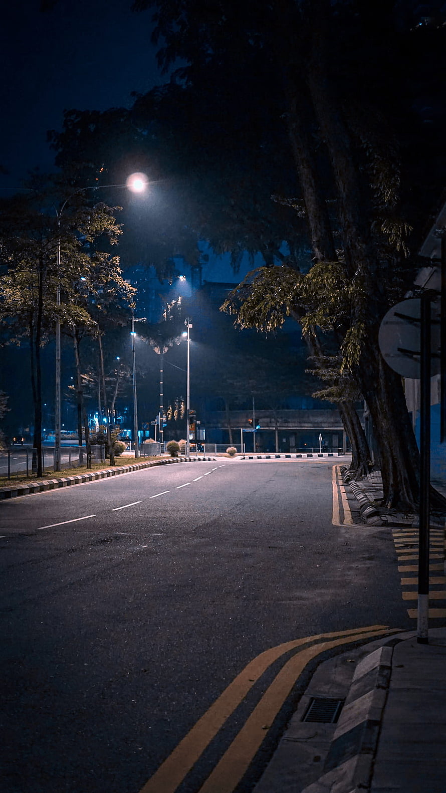 Empty Urban Street at Night with Glowing Streetlights and Lush Trees HD phone wallpaper