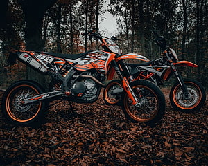 KTM Supermoto Motorcycles Parked on Autumn Forest Floor HD wallpaper