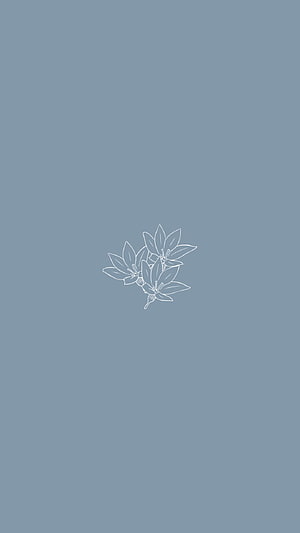 Minimalist White Line Art Flower Cluster on Muted Blue Background HD phone wallpaper